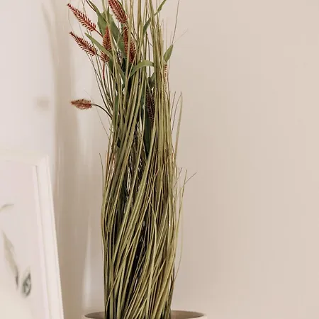 Apartment Retro Corfiot Mini At Old Town! *